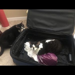 Meet your Posher, Laura